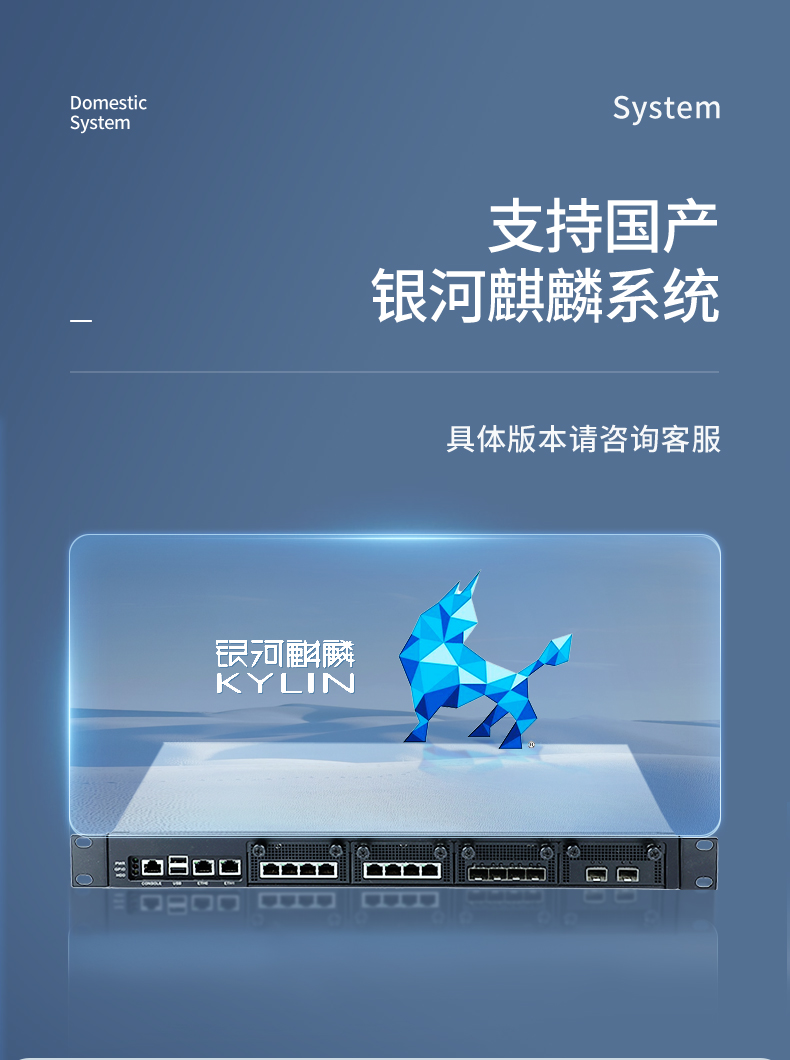 飛騰國產(chǎn)化上海工控機(jī),國產(chǎn)化系統(tǒng),DT-12420-SD2000.jpg